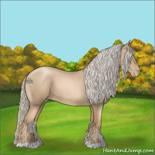 Horse Color:Chocolate Palomino Pearl