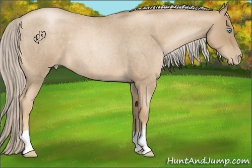 Horse Color:Chocolate Palomino Roan Pearl
