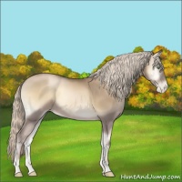 Horse Color:Chocolate Palomino Pearl Onyx 
