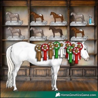 Horse Color:Palomino Splash Snowflake Varnish 