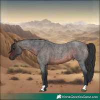 Horse Color:Brown Roan 