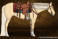 Horse Color:Palomino Dun