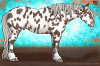 Horse Color:Silver Black Frame Appaloosa 
