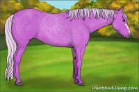 Horse Color:Watercolor Silver Bay