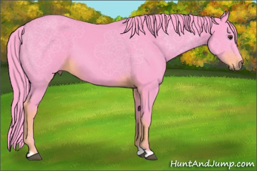 Horse Color:Watercolor Liver Chestnut 