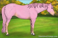 Horse Color:Watercolor Liver Chestnut