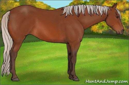 Horse Color:Silver Bay