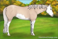 Horse Color:Silver Sable Champagne Dun Splash