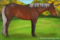 Horse Color:Silver Brown 