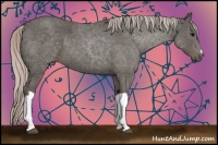 Horse Color:Silver Black 