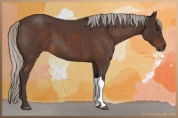 Horse Color:Silver Brown Roan