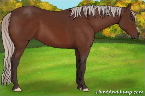 Horse Color:Silver Brown