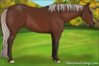 Horse Color:Silver Brown 