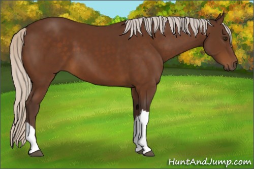 Horse Color:Silver Buckskin 