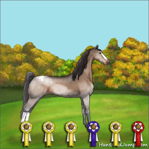 Horse Color:Bay Dun Snowcap 