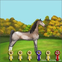 Horse Color:Bay Dun Snowcap 