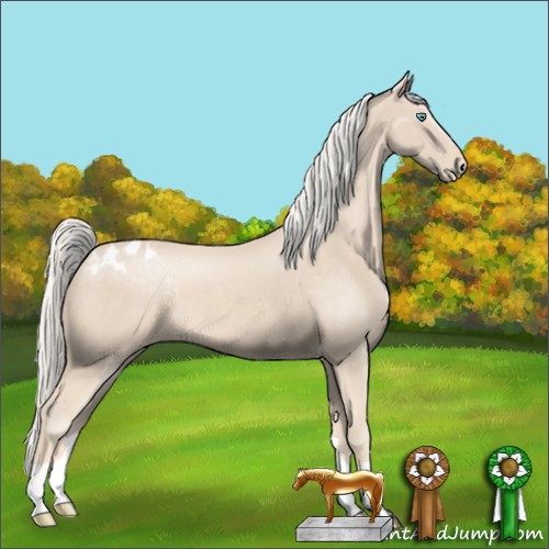 Horse Color:Cremello Appaloosa 