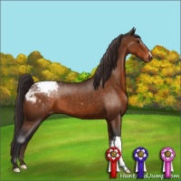 Horse Color:Buckskin Snowcap 
