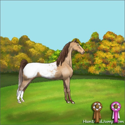 Horse Color:Sable Cream Champagne Near Fewspot