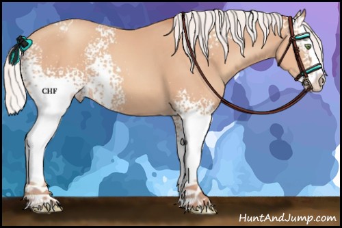 Horse Color:White Spotted Silver Amber Champagne Splash