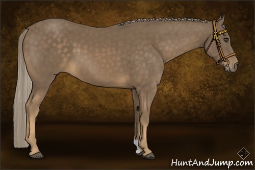 Horse Color:Chocolate Palomino 