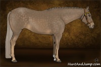 Horse Color:Chocolate Palomino 