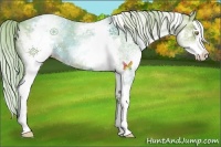 Horse Color:Watercolor White Spotted Gold Champagne Splash 