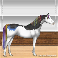 Horse Color:Painted Liver Chestnut Splash 