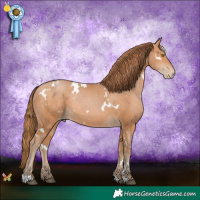 Horse Color:White Spotted Bay Pearl 