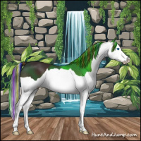 Horse Color:Painted Bay Splash 