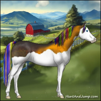 Horse Color:Painted Brown Splash