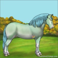 Horse Color:Watercolor Classic Champagne Onyx 