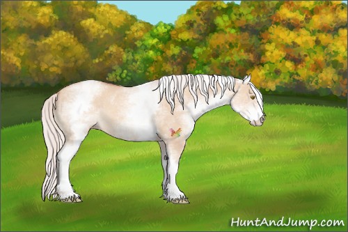 Horse Color:White Spotted Silver Classic Champagne Dun