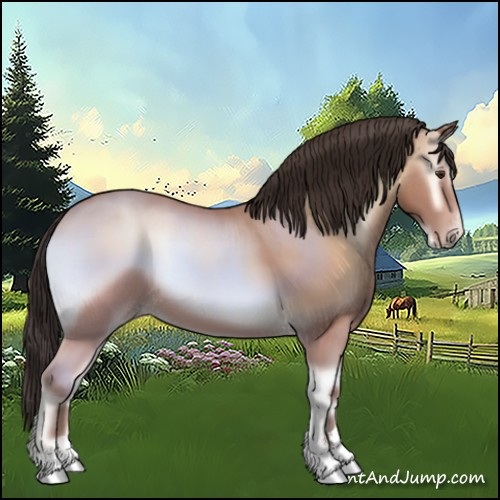 Horse Color:Amber Champagne Onyx Sabino