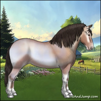 Horse Color:Amber Champagne Onyx Sabino 