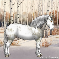 Horse Color:Watercolor Silver Classic Champagne Sabino 