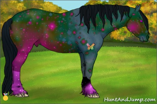 Horse Color:ERROR: UNKNOWN ANOMALY