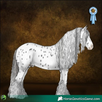 Horse Color:White Spotted Black Sabino Splash Appaloosa