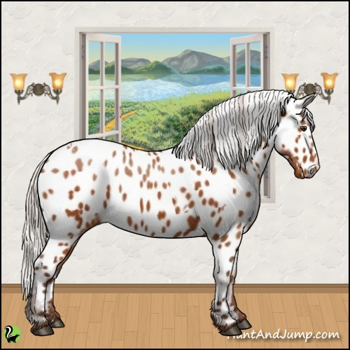 Horse Color:White Spotted Silver Buckskin Near Leopard
