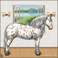 Horse Color:White Spotted Silver Buckskin Near Leopard 