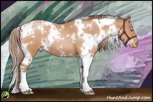 Horse Color:White Spotted Bay Roan Pearl
