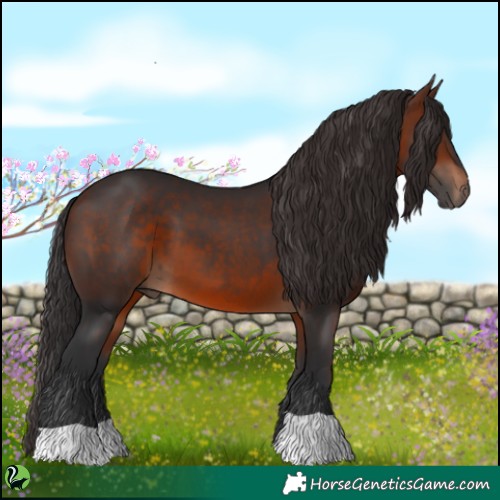 Horse Color:Brown 