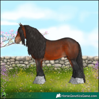 Horse Color:Brown 