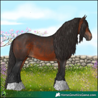 Horse Color:Brown 
