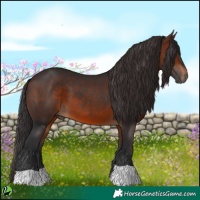 Horse Color:Brown 