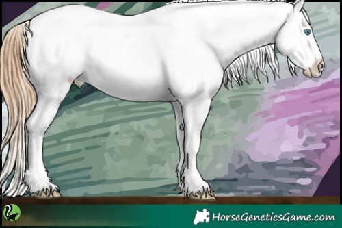 Horse Color:White Spotted Buckskin Pearl Appaloosa 