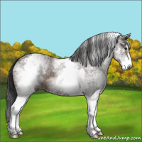Horse Color:Gray White Spotted Bay Ice