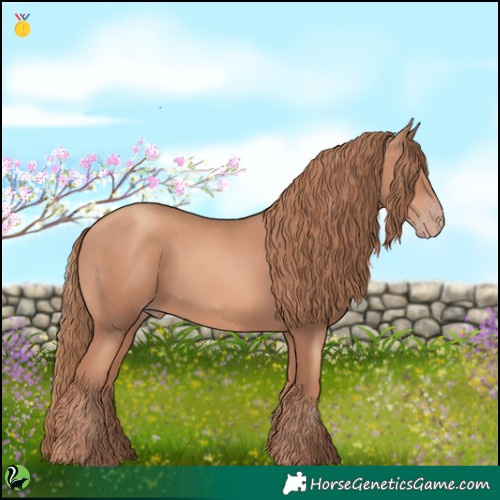 Horse Color:Gold Champagne 