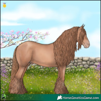 Horse Color:Gold Champagne