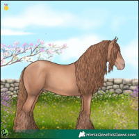 Horse Color:Gold Champagne